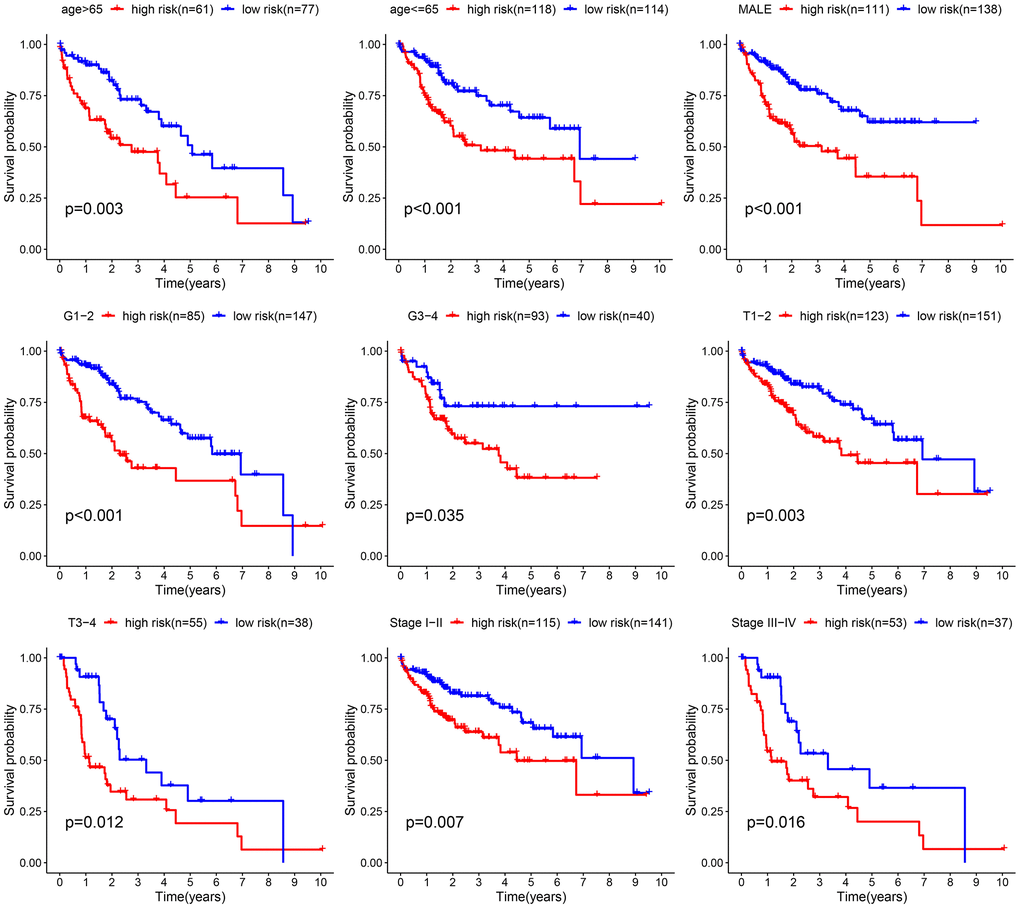 Comparative survival analysis among high- and low-risk groups across various clinical subgroups.