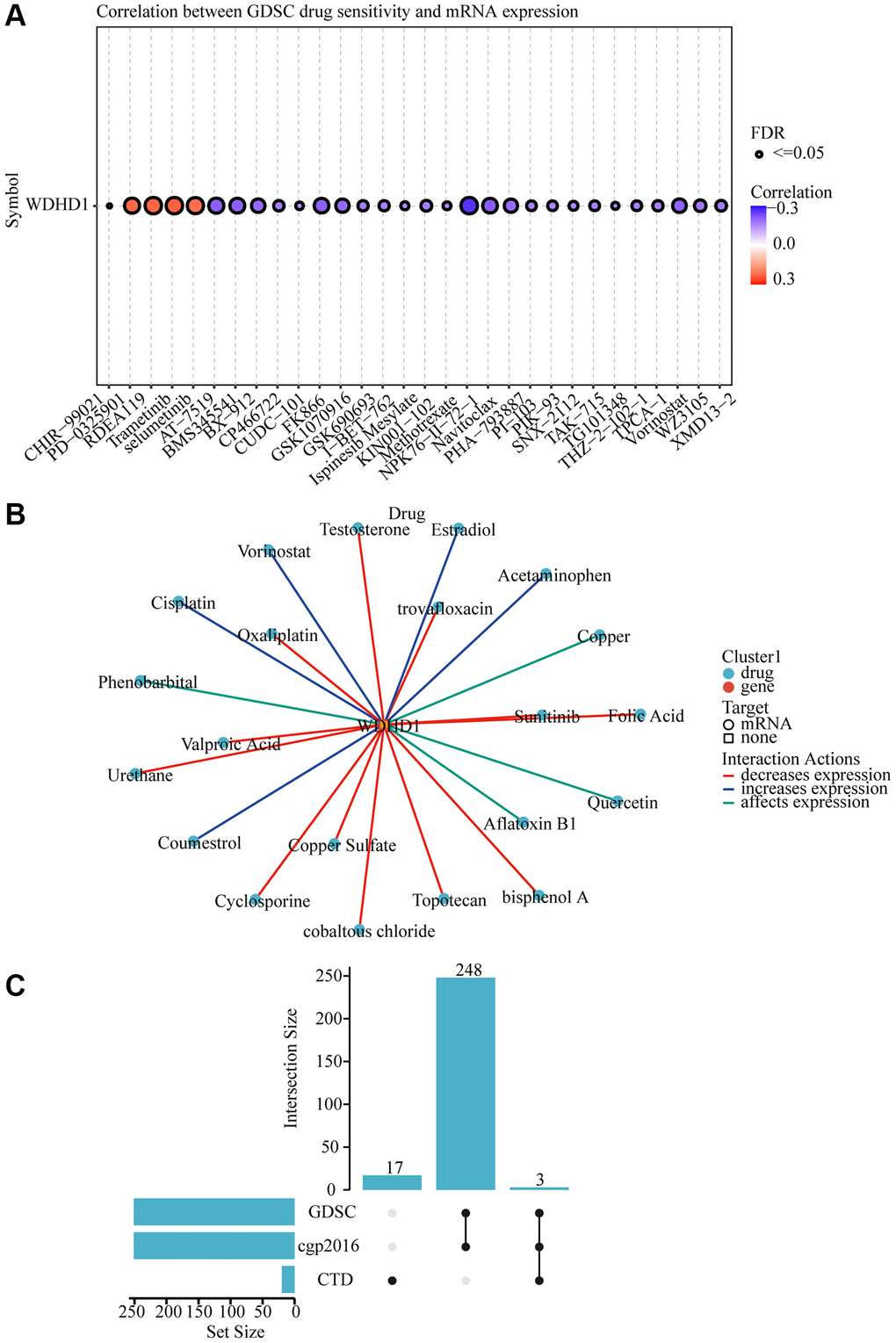 WDHD1-related drug molecular effects. (A) Drug sensitivity analysis of various drugs. (B) Visualization of drug-gene interactions. (C) WDHD1-upset.