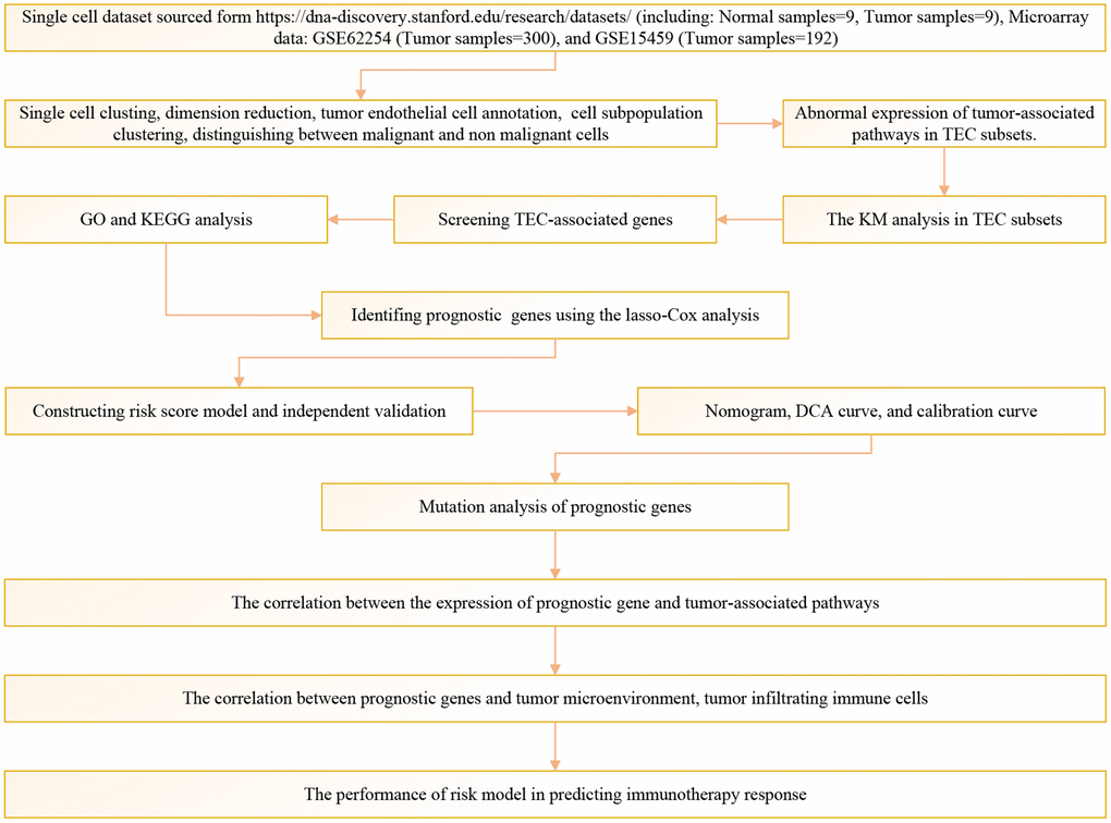 The flow chart of this study.