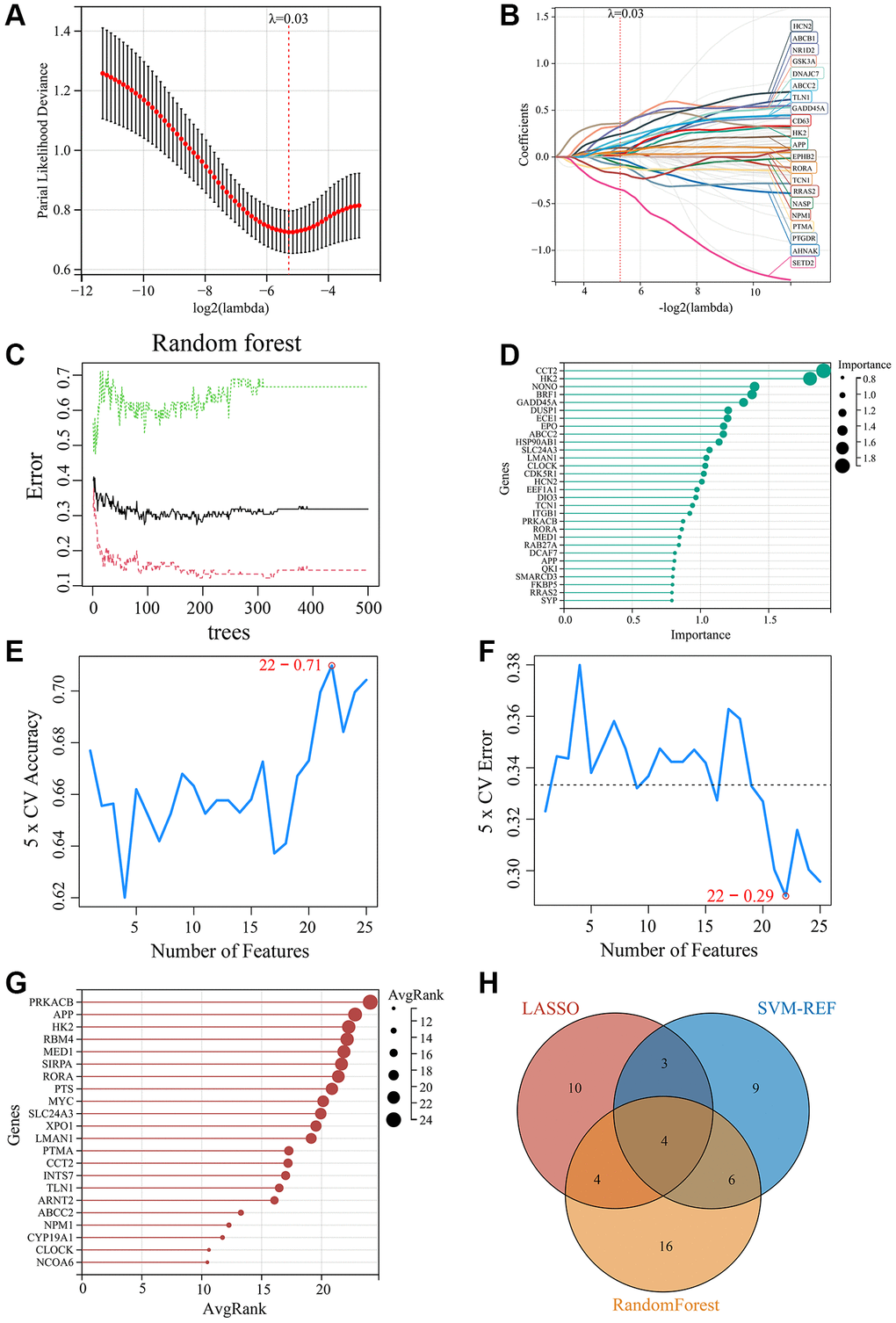 Screening of key MDD-related CRGs using machine learning methods. (A) Optimal λ selection for LASSO regression model. (B) LASSO coefficient profiles of the 21 feature genes. (C) Top 30 feature importance from random forest algorithm. (D) Top 30 important genes ranked by random forest algorithm. (E) Accuracy rate plot of SVM-RFE model. (F) Error rate plot of SVM-RFE model. (G) Top 22 genes with lowest error rate ranked by SVM-RFE. (H) Venn diagram for screening of the 4 key CRGs (ABCC1, APP, HK2, and RORA) by integrating LASSO, SVM-RFE and Random Forest algorithms.