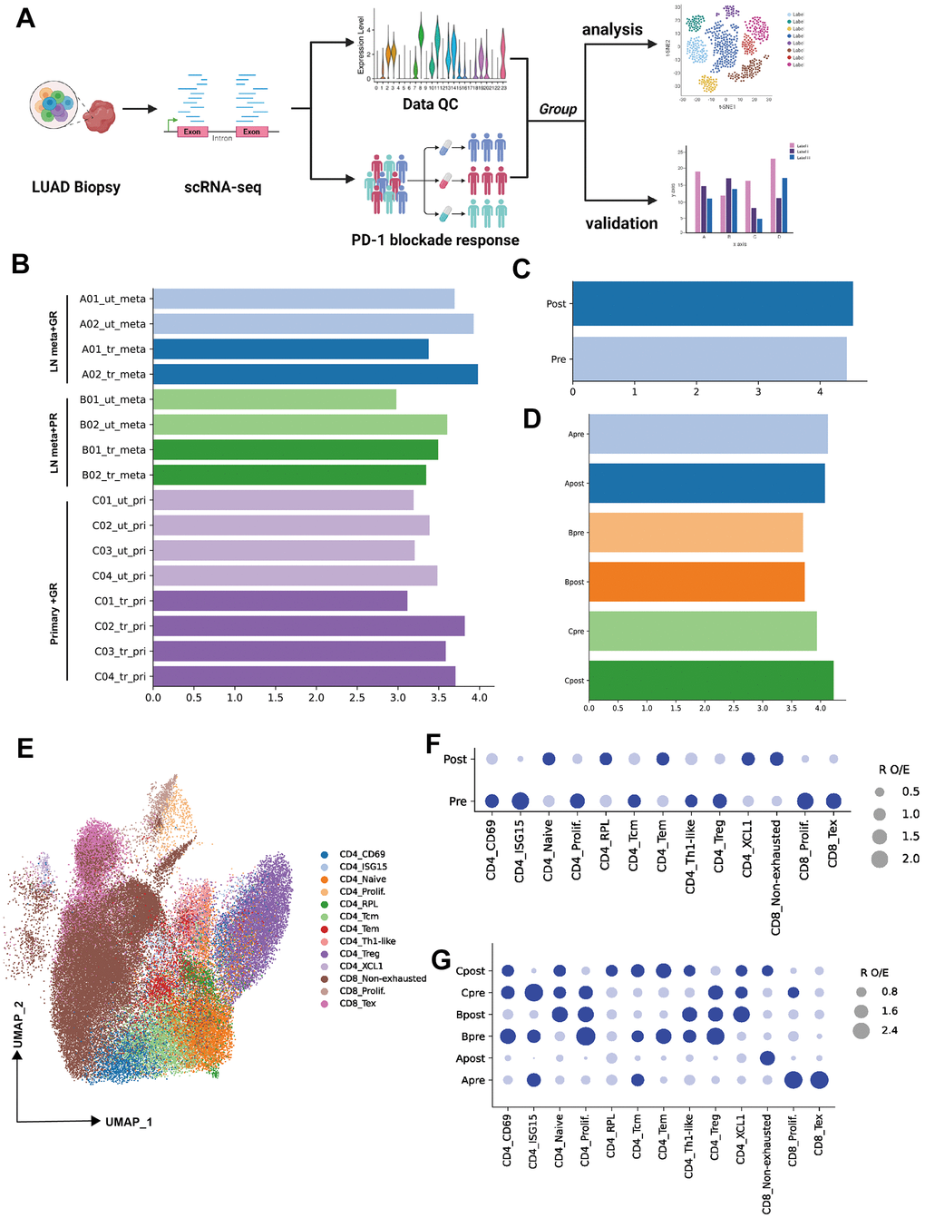 Single-cell transcriptional analysis of T lymphocytes from LUAD patient biopsies. (A) Schematic showing the analysis of procedures used for this study (created using BioRender.com). (B) Bar plot showing the cell number (Log10 transformed) of samples selected from primary patients’ data (ut: untreatment; tr: treatment; meta: lymph node or liver metastasis; pri: primary tumor). (C) Bar plot showing the cell number (Log10 transformed) of pre-PD-1 blockade therapy and post-PD-1 blockade therapy. (D) Bar plot showing the cell number (Log10 transformed) of groups which were defined by biopsy sites (metastasis or primary tumor) and response of PD-1 blockade therapy (good or poor response). (E) Two-dimensional UMAP plot of single-cell RNA-Seq (scRNA-Seq) performed on groups A, B, and C after PD-1 blockade therapy (horizontal axis: UMAP