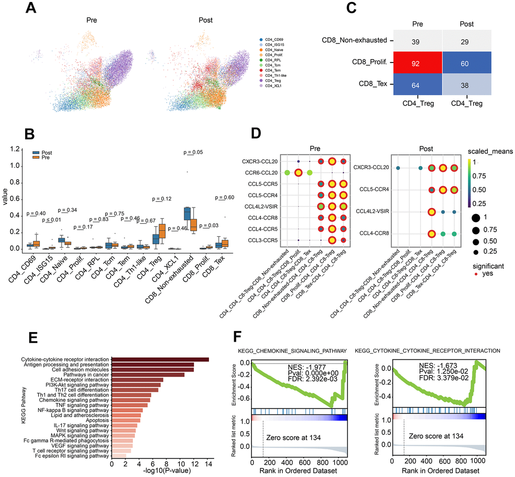 Characteristics of CD4 T lymphocyte subclusters and cellular communication. (A) Two-dimensional UMAP plot of CD4 T lymphocyte subclusters (unsupervised clustering distribution) in pre and post groups; UMAP plots are colored based on the cell subtypes of the CD4 T cells (horizontal axis: UMAP