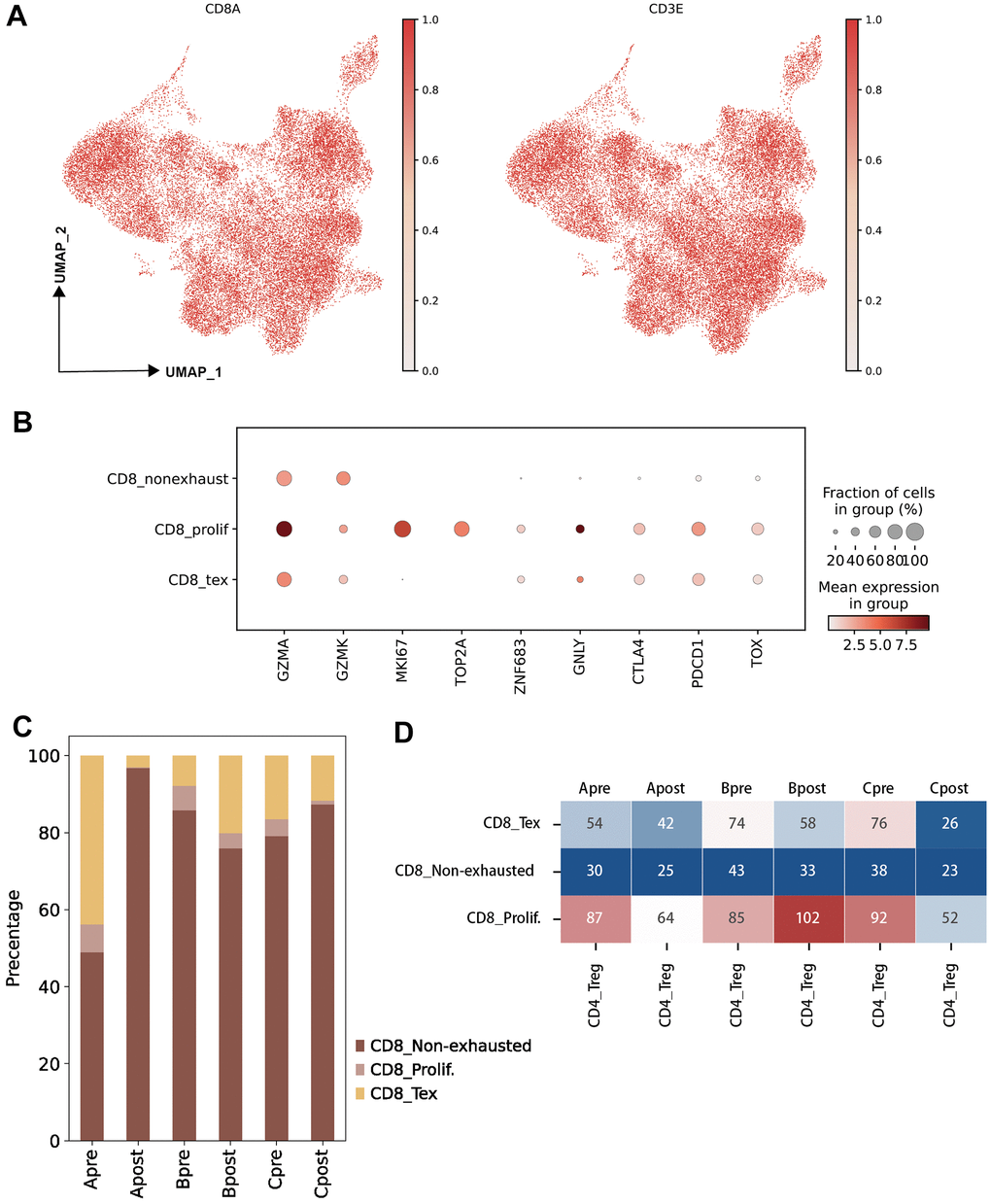 Characteristic of CD8 T lymphocyte subclusters and identified unique cell clusters resistant to PD-1 blockade therapy. (A) UMAP plots showing the CD8 T cell subcluster and majority cell types. The dot plots are colored based on CD8A and CD3E gene (left: UMAP clustering CD8 T subset, right: Lymphocytes defined by CD3E; horizontal axis: UMAP