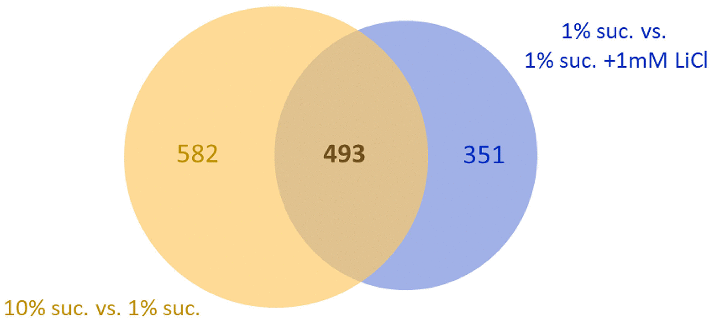 class="figure-viewer-img"
