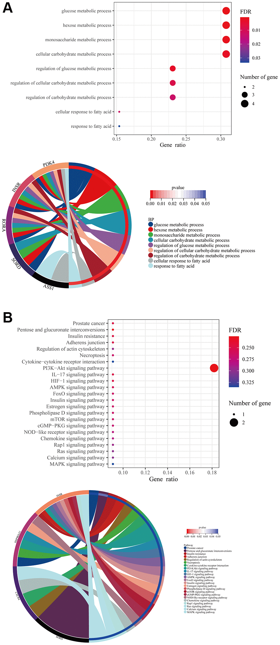 Formononetin targeted genes related to metabolisms in tissue cells of prostate cancer. (A) GO enrichment analysis showed the biological roles of formononetin in metabolisms of tissue cells cluster of prostate cancer. (B) KEGG enrichment analysis showed the roles of formononetin’s targets in insulin resistance, cell adhesion, and necroptosis through the regulation of cell signaling pathways of tissue cells. Lower panel of each figure was the Circos plot to show the involvement of gene in each item. The size of bubble represented the number of gene. The color of bubble represented the significance of the biological processes and pathways.
