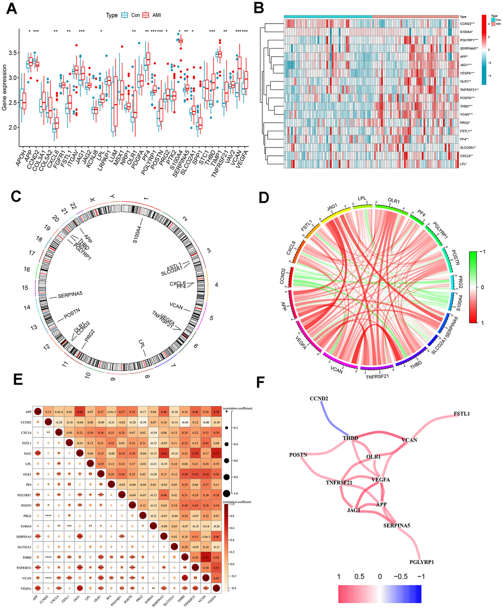 Differentially expressed ARGs in AMI and correlation analysis. (A) Boxplots for differentially expressed ARGs between healthy and AMI groups. (B) Heat map of differential expression of the 18 ARGs. (C) Circos plot of 18 ARGs: showed the distribution of each gene on the chromosomes. (D) Chordal graph of 18 ARGs correlations. (E) Correlation heat map. (F) Interaction network analysis diagram: connecting lines represented interaction relationships. *P P P 