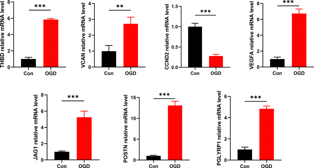 Detection of mRNA expression levels of 7 signature ARGs by RT-qPCR. *P P P 