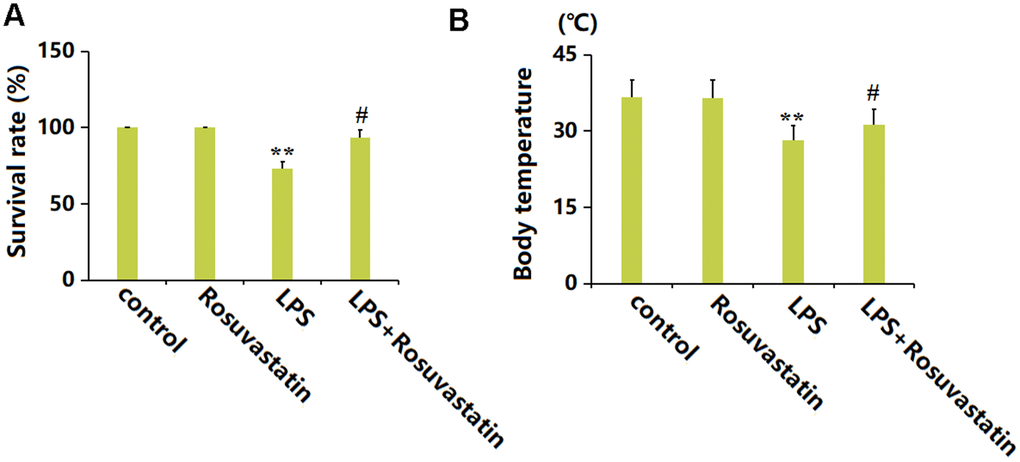 Rosuvastatin reduced mortality and prevented body temperature loss in sepsis mice. Mice were divided into four groups: control, Rosuvastatin, LPS, and LPS+Rosuvastatin (15 mice/group). (A) Percent survival of experimental mice; (B) Body temperature (n=8, **, P