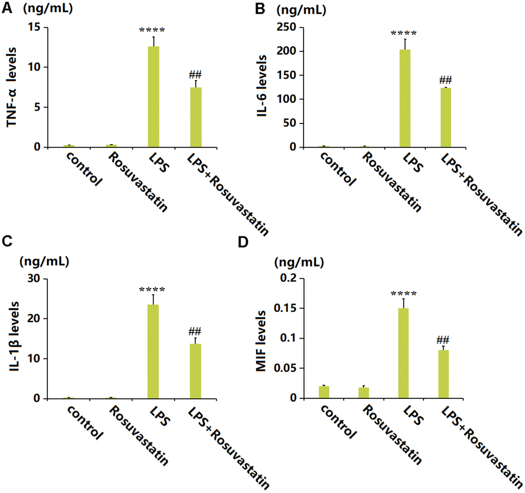 Rosuvastatin inhibited the production of inflammatory cytokines in peritoneal lavage supernatants of animals. (A) The levels of TNF-α; (B) The levels of IL-6; (C) The levels of IL-1β; (D) The levels of MIF (n=8, ****, P