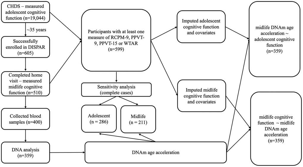 Overview of study population and workflow.