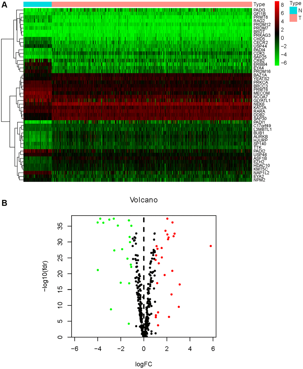 Differential expression analysis of HMs. (A) The heatmap displayed the differential expression of HMs between KIRC samples and normal control samples. Red represented up-regulation of HMs expression, green represented down-regulation of HMs expression. (B) Volcano displayed the differential expression of HMs in KIRC samples.