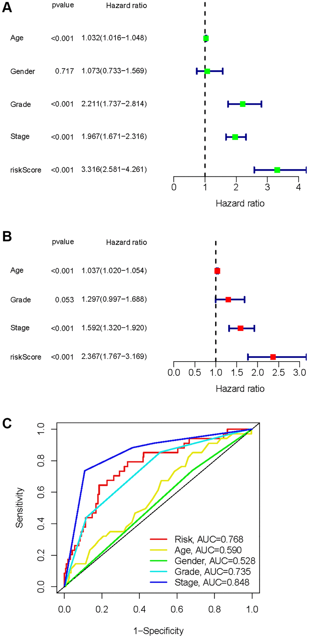 Identification of independent factors affecting the prognosis of the KIRC samples. (A) Univariate Cox regression analysis to identify factors associated with prognosis in the KIRC sample. (B) Multivariate Cox regression analysis to identify factors that can independently predict prognosis in the KIRC sample. (C) Multivariate ROC curves for risk and other clinical variables predicting prognosis in the KIRC samples.
