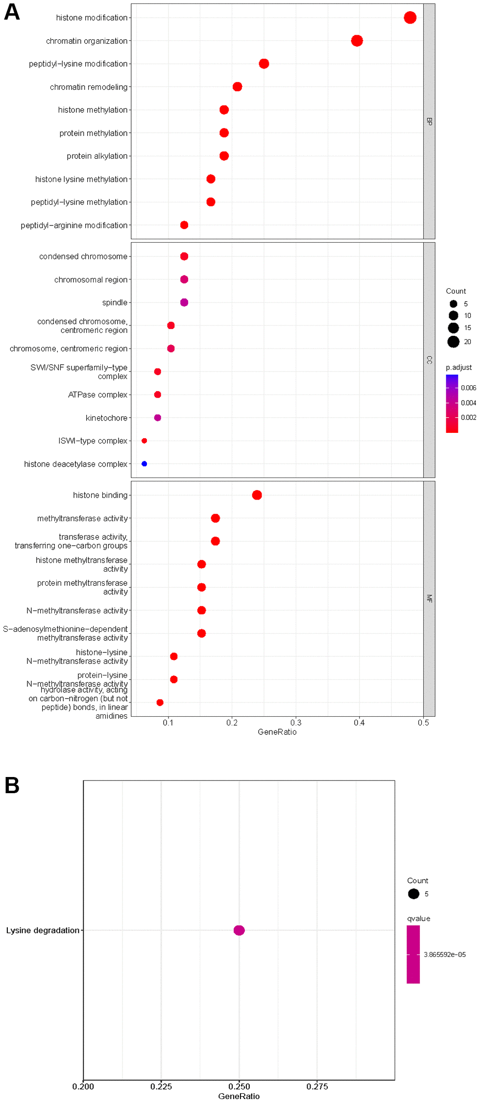 Enrichment analysis of HMs differentially expressed in KIRC. (A) GO analysis of HMs. (B) KEGG pathway enrichment analysis of HMs.