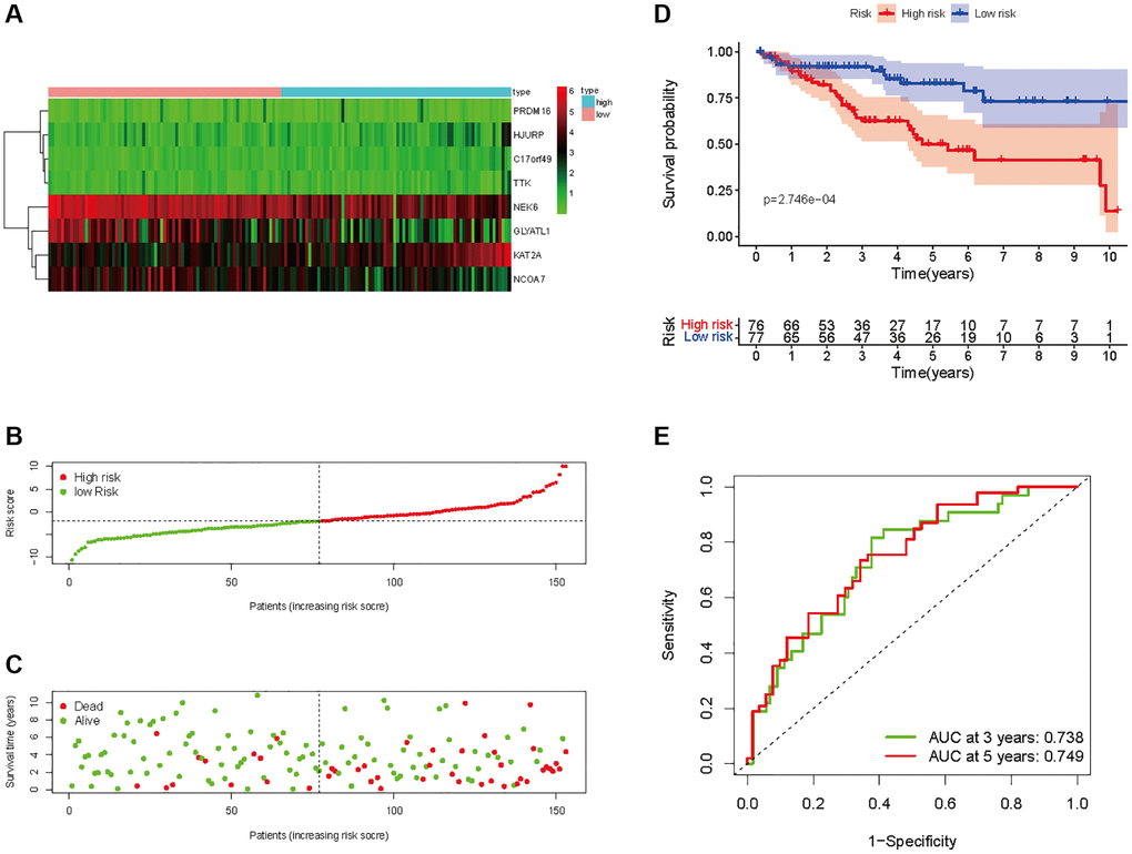 Prognostic analysis of HMs-based signature in the test set. (A) Expression of HMs of KIRC samples between high- and low-risk groups. (B) Kaplan-Meier survival analysis of KIRC samples between high- and low-risk groups. (C, D) Analysis of differences in survival status of KIRC samples between high- and low-risk groups. (E) Time-dependent ROC curve analysis of risk scores predicting 3- and 5-year OS in the KIRC samples.