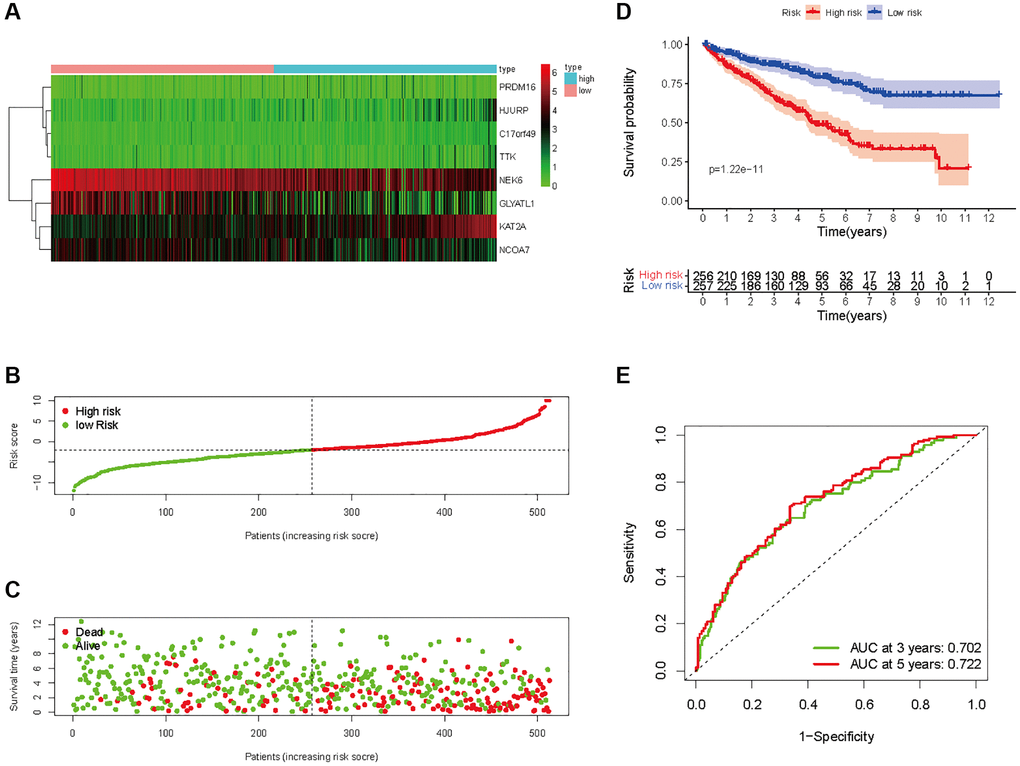 Prognostic analysis of HMs-based signature in the entire set. (A) Expression of HMs of KIRC samples between high- and low-risk groups. (B) Kaplan-Meier survival analysis of KIRC samples between high- and low-risk groups. (C, D) Analysis of differences in survival status of KIRC samples between high- and low-risk groups. (E) Time-dependent ROC curve analysis of risk scores predicting 3- and 5-year OS in the KIRC samples.