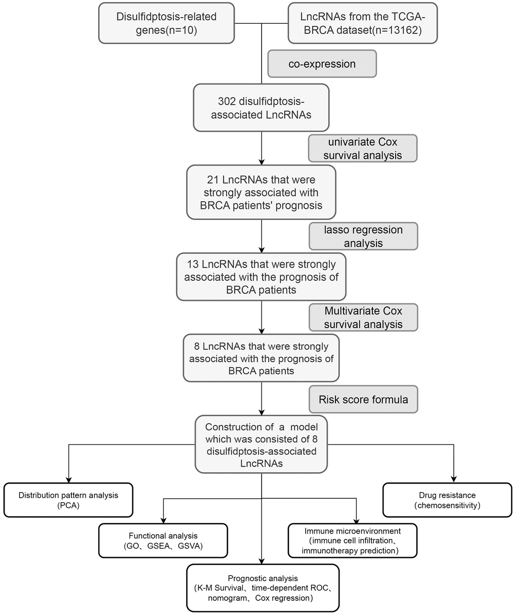 The accompanying schematic diagram presents a thorough and all-encompassing summary of the primary cognitive processes conducted throughout the course of this study.