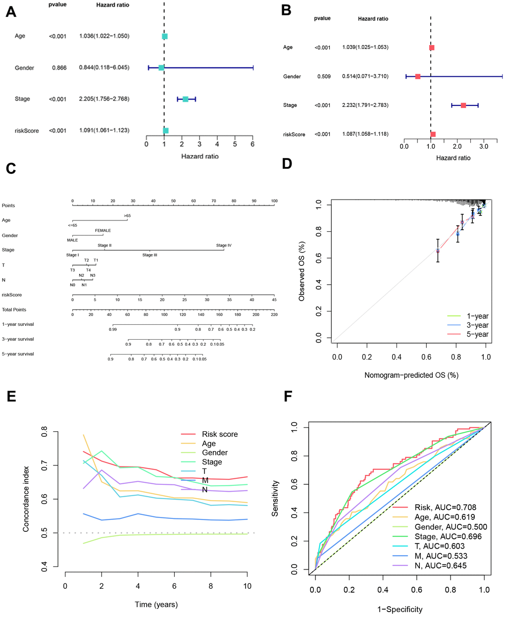 Independent prognostic analysis of clinical characteristics and nomogram creation. (A) Assessment of the independent prognostic impact of each clinical factor individually. (B) Evaluation of the independent prognostic influence of multiple factors for each clinical variable. (C) Nomograms were formulated incorporating each clinical indicator and risk scores to present a visual aid for predicting personalized patient outcomes. (D) Calibration curves were generated to appraise the nomograms’ accuracy, comparing predicted survival probabilities with actual survival rates at 1-year, 3-year, and 5-year intervals. (E) Calculation of the C-index was performed to gauge the discriminatory efficacy of gender, age, stage, risk scores, T category, N category, and M category in forecasting patient outcomes. (F) Receiver operating characteristic (ROC) analysis was undertaken for each clinical indicator to ascertain its predictive performance and capacity to differentiate between distinct outcome groups.
