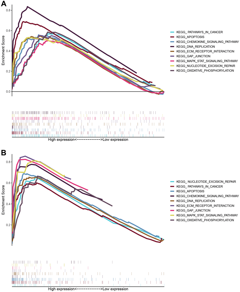 The enrichment scores for biological processes in KEGG and GO enrichment. The enriched biological processes and signaling pathways pertinent to protein-coding genes were correlated with the prognostic relevance of the ARPC1A signature. (A) KEGG enrichment analysis based on TCGA database; (B) GSEA results of KEGG pathway based on CGGA database.