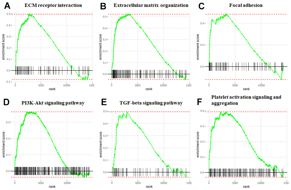 GSEA of the HCM and HF overlap genes. The enrichment plot of the ECM receptor interaction (A), Extracellular matrix organization (B), Focal adhesion (C), PI3K-Akt signaling pathway (D), TGF-beta signaling pathway (E), and Platelet activation signaling and aggregation (F). The green curve represented the enrichment profile, and the black vertical line represented the gene hits.