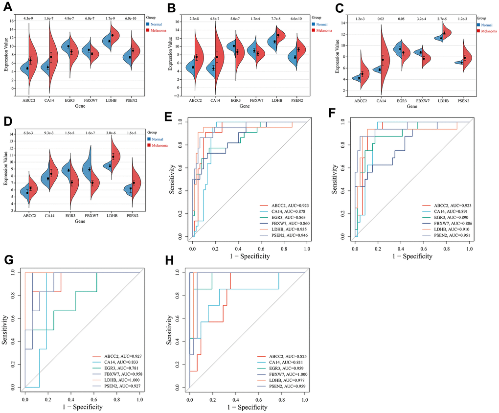 Expression and ROC analysis of key CRGs. (A) Expression comparison of key CRGs between melanoma and normal tissues in the training set (combined GSE15605 and GSE114445 datasets). (B) Expression comparison of key CRGs between melanoma and normal tissues in GSE15605 dataset. (C) Expression comparison of key CRGs between melanoma and normal tissues in GSE114445 dataset. (D) Expression comparison of key CRGs between melanoma and normal tissues in GSE46517 dataset. (E) ROC curves of key CRGs in the training set. (F) ROC curves of key CRGs in GSE15605 dataset. (G) ROC curves of key CRGs in GSE114445 dataset. (H) ROC curves of key CRGs in GSE46517 dataset.
