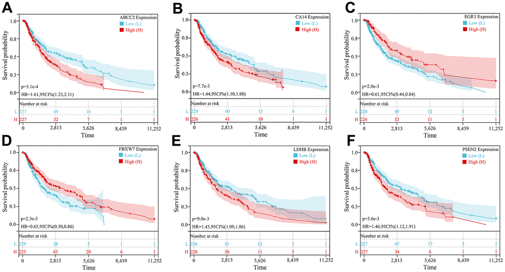 Kaplan-Meier survival curve analysis of 6 key CRGs. (A–F) Kaplan-Meier survival curves of (A) ABCC2, (B) CA14, (C) EGR3, (D) FBXW7, (E) LDHB, and (F) PSEN2, respectively.