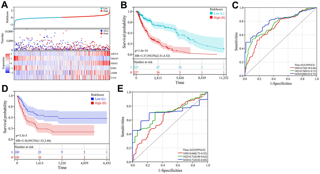 Construction and validation of the prognostic model. (A) Heatmap of key CRG expression and related risk score ranking and survival status distribution of patients. (B) Kaplan-Meier curves comparing high- and low-risk groups in the TCGA-melanoma cohort. (C) ROC curves of the prognostic model for predicting 3-, 5- and 10-year overall survival in TCGA-melanoma cohort. (D) Kaplan-Meier survival curve analysis in GSE65904 dataset. (E) ROC curves of the prognostic model for predicting 3-, 5- and 10-year overall survival in GSE65904 dataset.