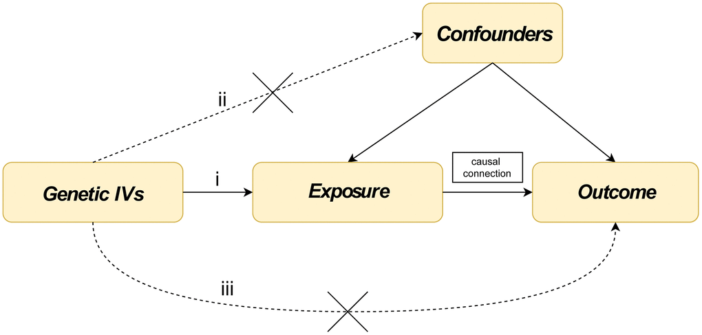 Three assumptions about glucocorticoid medication use, senile cataract and iridocyclitis in this Mendelian randomization study. (i) The instrument variables (IVs) are strongly associated with iridocyclitis and glucocorticoid medication use; (ii) the genetic IVs are independent of confounders; (iii) the genetic IVs affect senile cataract only through their effect on iridocyclitis and glucocorticoid medication use, and not through an alternative causal pathway.