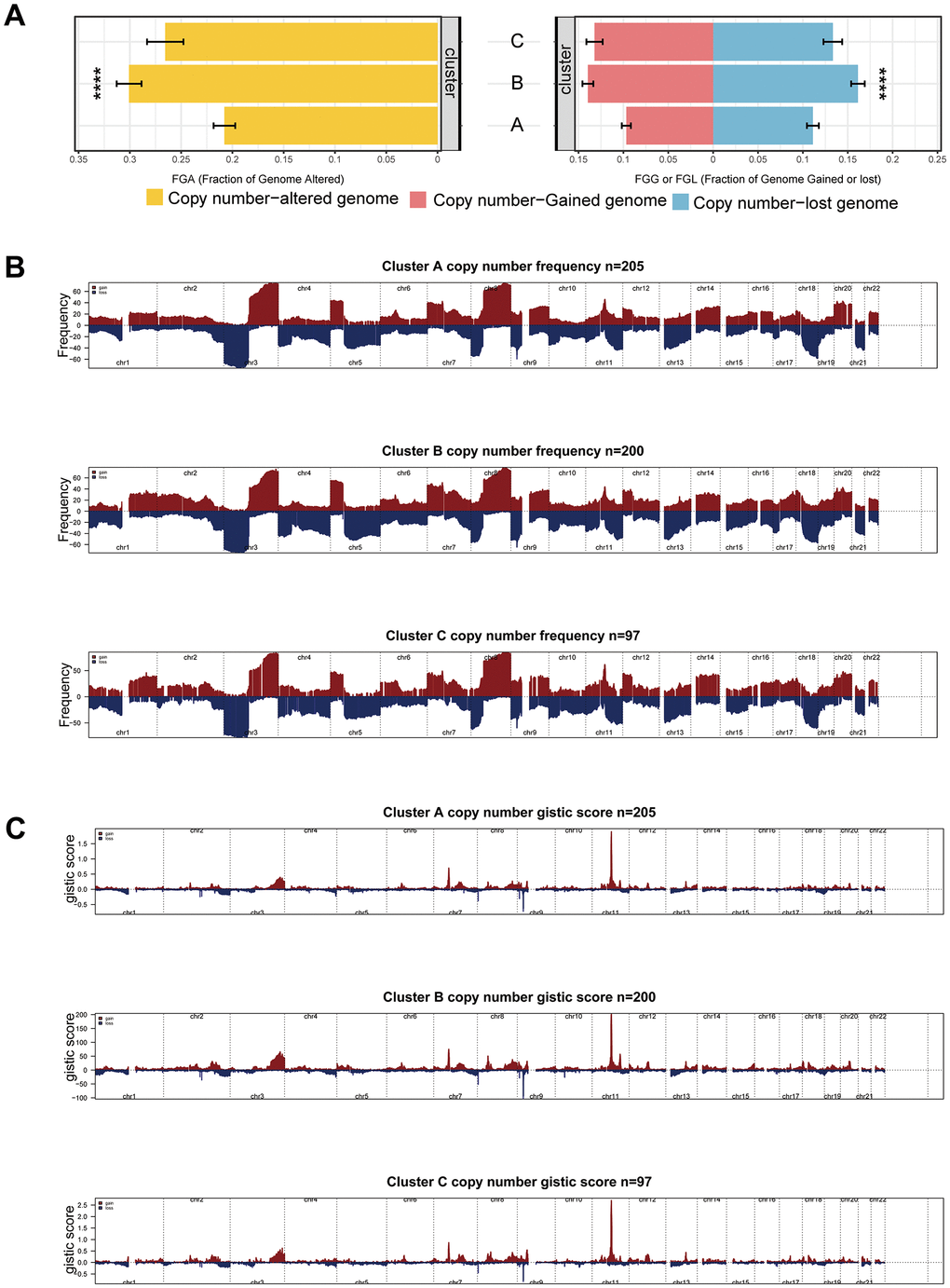 CNV differences among subgroups. (A) CNV rate among subgroups. (B, C) Differences of gain/loss percentage (B) and GISTIC score (C) in Cluster A, B, and C. Statistical significance denoted as ****p p p p 