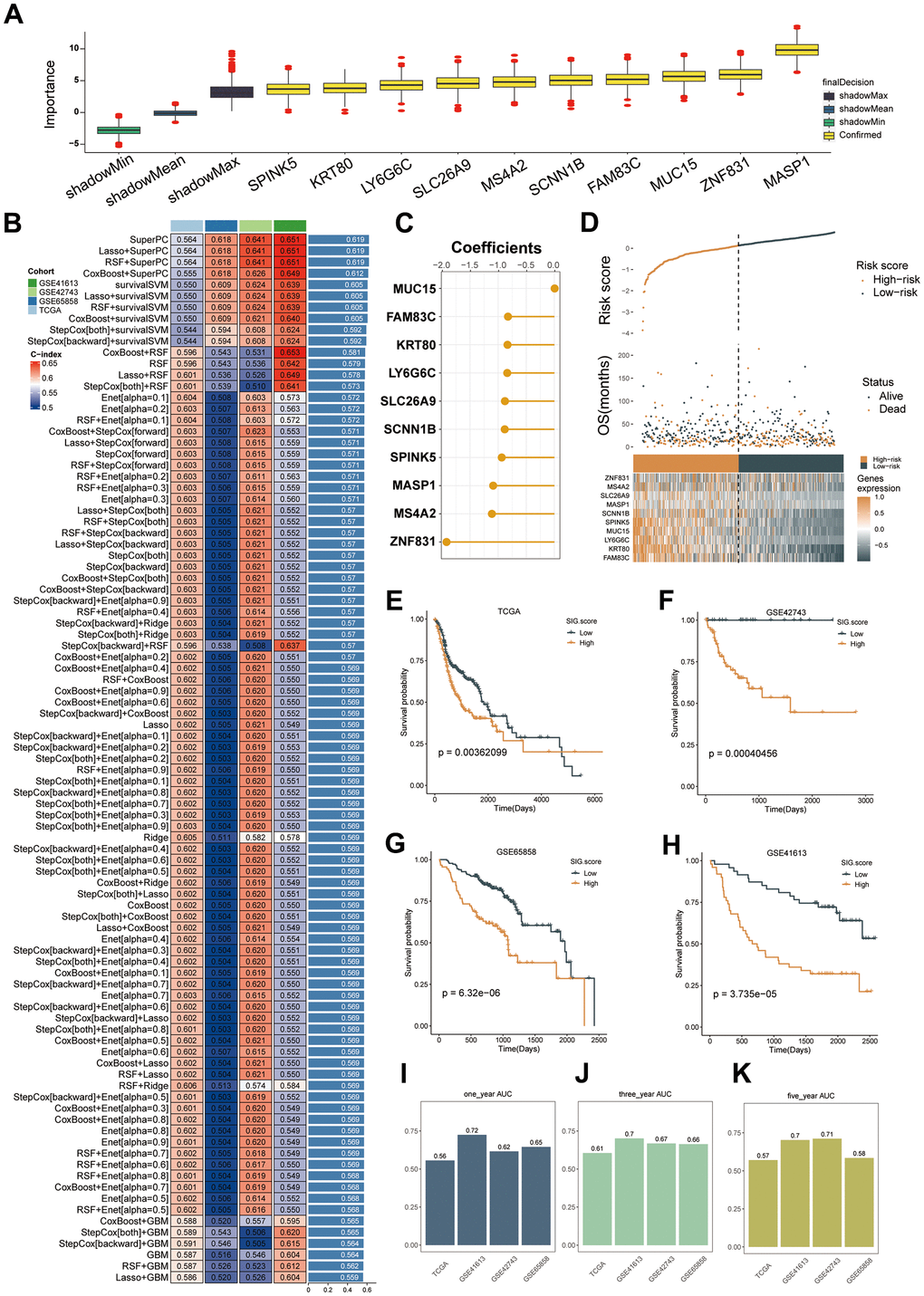 Machine learning-based gene signatures based on mitophagy subgroups. (A) The Boruta algorithm identified 10 mitophagy-related genes. Yellow represents confirmed features while other colors denote shadow attributes. The corresponding boxplots compared the concordance index (C-index) values. (B) Machine learning was used to build 93 different models, and their C-indices were tested in each verification set. (C) The coefficients of ten genes calculated by SuperPC. (D) Statistical analysis of the risk scores and survival status of ten genes as well as their expression characteristics in TCGA. (E–H) Prognoses of patients in the TCGA (E), GSE42743 (F), GSE65858 (G), and GSE41613 (H) sets. (I–K) Predicting patient survival at 1, 3, and 5 years using the MSRS.