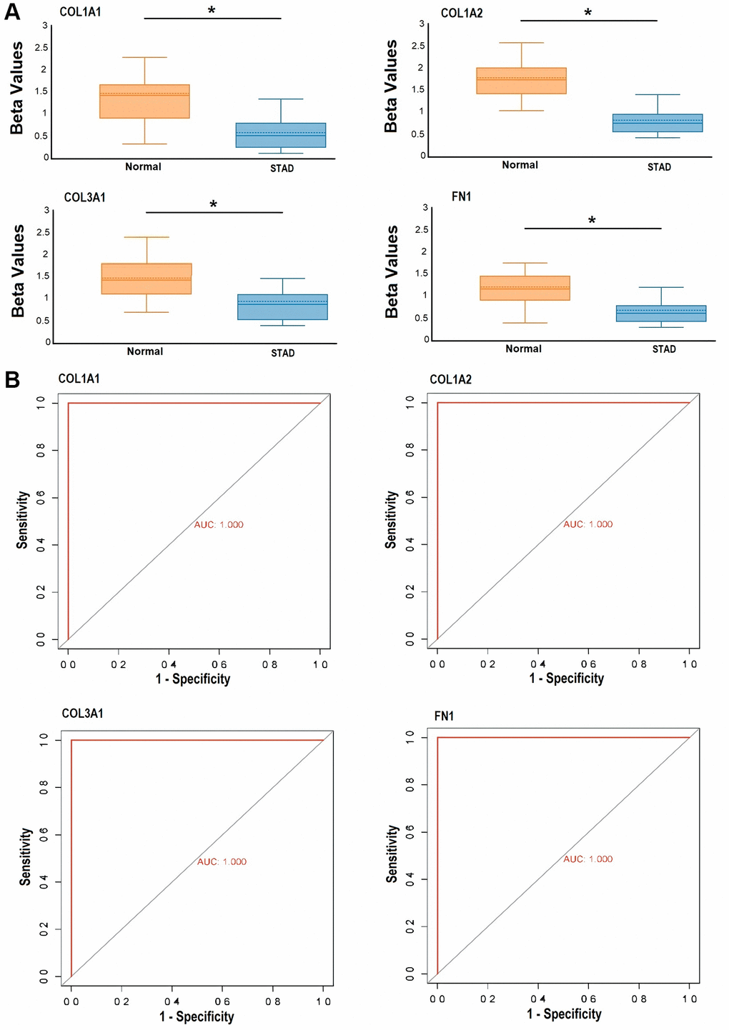 Targeted bisulfite sequencing-based methylation level exploration and receiver operating characteristic (ROC) curve analysis of the hub genes, including COL1A1, COL1A2, COL3A1, and FN1 in Pakistani gastric cancer (GC) patients and normal controls. (A) Beta value-based methylation analysis of COL1A1, COL1A2, COL3A1, and FN1 in Pakistani GC patients and control samples, and (B) targeted bisulfite sequencing-based ROC curves of the COL1A1, COL1A2, COL3A1, and FN1 methylation level. P-value 