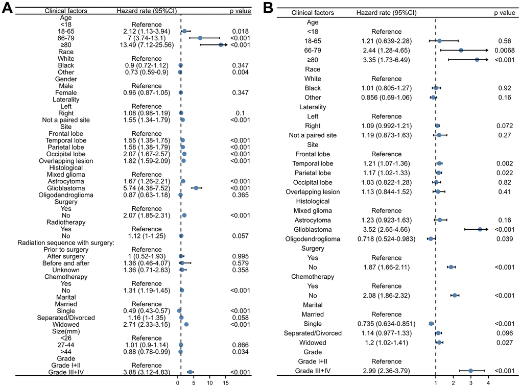 The forest plot of the univariate and multivariate Cox regression analysis of OS in the training cohort. (A) Univariate Cox regression analysis. (B) Multivariate Cox regression analysis.