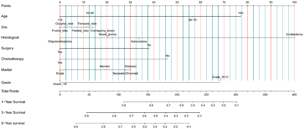 Nomogram prediction model of 1-year, 3-year, and 5-year OS rates in the training cohort.