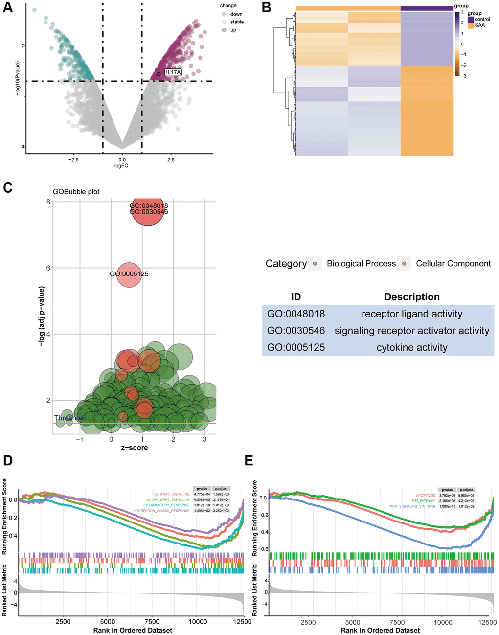 The result of DEG identification. (A) DEGs in GSE3807. (B) Heatmap of 1089 DEGs screened. (C) Gene Ontology (GO) enrichment analysis for DEGs. (D, E) Gene set enrichment analysis (GSEA) of DEGs.