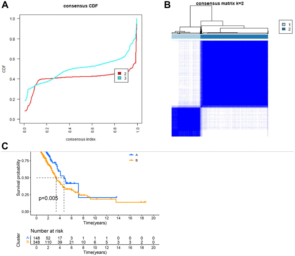 Clustering analysis results. (A) CDF plot of clustering; (B) Display of clustering results. (C) Survival analysis of different subgroups.