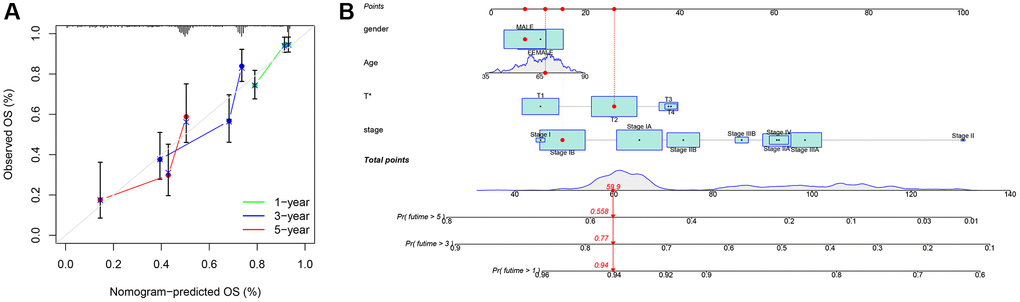 Nomogram. (A) Nomogram calibration chart; (B) Model nomogram.