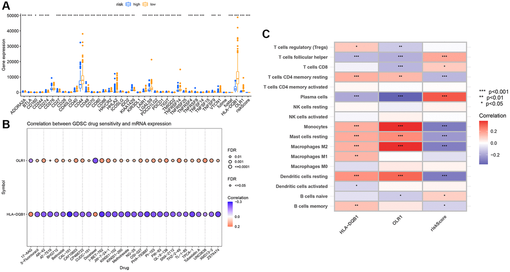 Immune infiltration analysis of key genes. (A) Immune checkpoint differential box plot; (B) Correlation analysis between key genes and immune infiltration; (C) Drug sensitivity analysis.