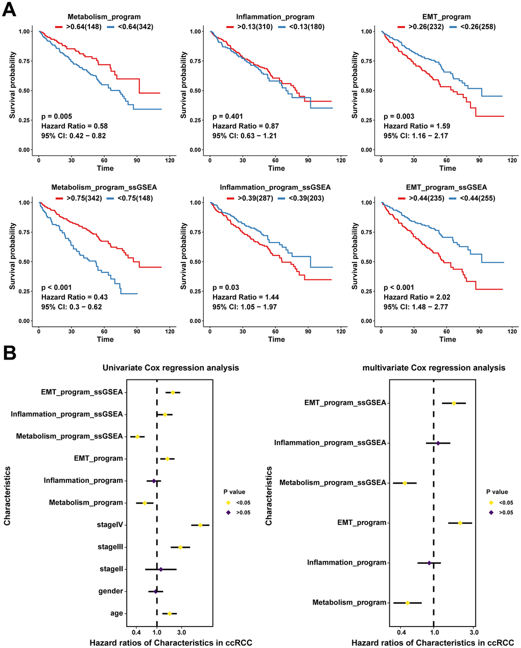 Clinical values of functionally heterogeneous cancer cells in ccRCC. (A) Kaplan-Meier survival analysis of TCGA ccRCC cohort based on infiltration levels calculated by CIBERSORTx analysis (up) and ssGSEA score calculated by characteristic genes (down) of functionally heterogeneous cancer cells. The grouped metrics are based on the optimal cutoff value, and the numbers in parentheses represent the ccRCC sample size. (B) Univariate and multivariate Cox analyses showing the associations between clinical indicators (age, gender, and stage), infiltration levels and ssGSEA scores with patients’ survival outcomes (the prognostic value of functionally heterogeneous cancer cells of the three meta programs).
