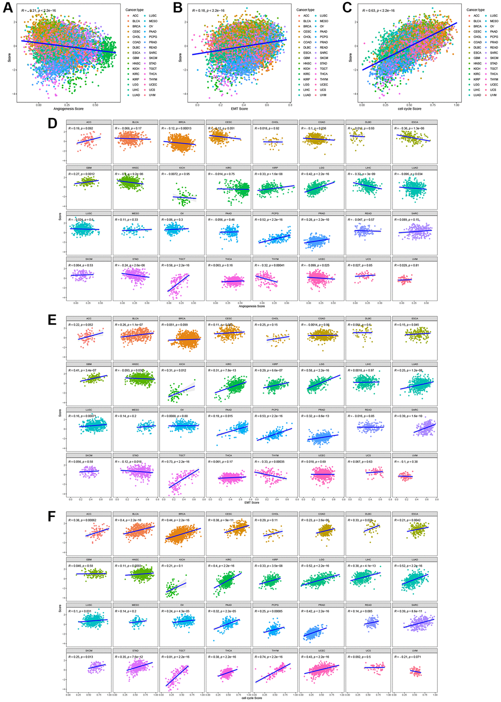 The correlation between T cell proliferation regulatory genes score and malignant features in the pan-cancer cohort (A–C) or most tumor types (D–F).