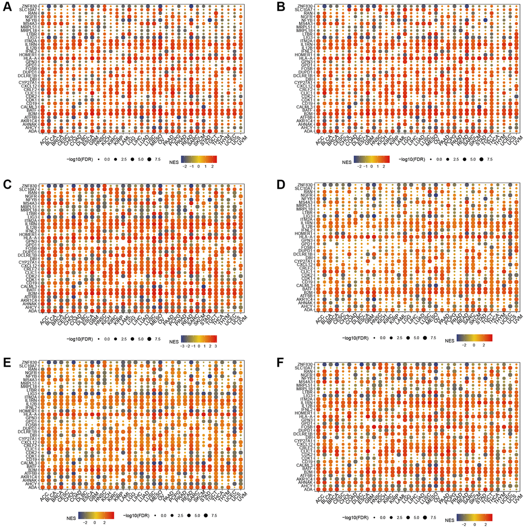 Gene set enrichment analysis. T cell proliferation regulatory genes in il2 stat5 signaling (A), il6 jak stat3 signaling (B), inflammatory response (C), interferon alpha response (D), interferon gamma response (E), and tnfa signaling via nfkb (F).
