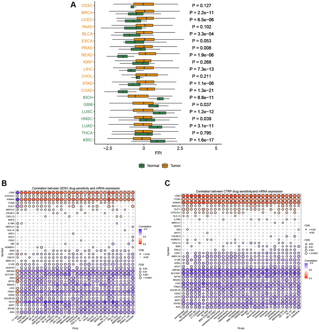 Activity and drug analysis. (A) Activity of T cell proliferation regulatory genes in different tumors. (B) Drug sensitivity from GDSC. (C) Drug sensitivity from CTRP.