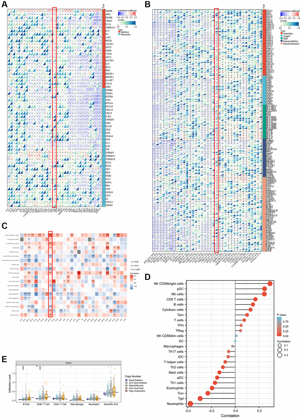 Association between ALKBH7 expression and tumor immunity in pan-cancer. (A) The correlation between ALKBH7 expression and immune check point related genes in different types of cancer. (B) The correlation between ALKBH7 expression and immunomodulator genes in different types of cancer. (C) The correlation between ALKBH7 expression and immune cell infiltration in different types of cancer. (D) Correlations between ALKBH7 expression and 24 immune cells in TCGA HNSC cohort. (E) Correlation of immune cell infiltrate level and different mutation subtypes based on TCGA HNSC cohort. *p **p ***p 