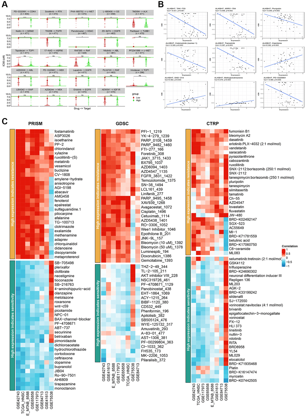 Analysis of IC50 for different drugs in pan-cancer cell lines and drug sensitivity in HNSC from various databases. (A) Comparison of IC50 of PD-0332991, Sorafenib, PHA-665752, L-685458, TAR684, Nutlin-3, TKI258, Panobinostat, ZD-6474, Paclitaxel, Topotecan, 17-AAG, RAF265, Nilotinib, PF2341066, AZD0530, PD-0325901, Lapatinib, PLX4720, Irinotecan, LBW242, AZD6244, Erlotinib and AEW541 between groups stratified by ALKBH7 expression levels. (B) Correlation between ALKBH7 expression and IC50 of TAK-733, ARRT-704, Pluripotin, Cobimetinib, Trametinib, Cladribine, SNS-314, Methylprednisolone and PD-0325901 in pan-cancer. (C) Correlation between the expression of ALKBH7 and drug sensitivity/resistance via 3 public drug sensitivity databases (PRISM, GDSC and CTRP). *p **p ***p ****p 
