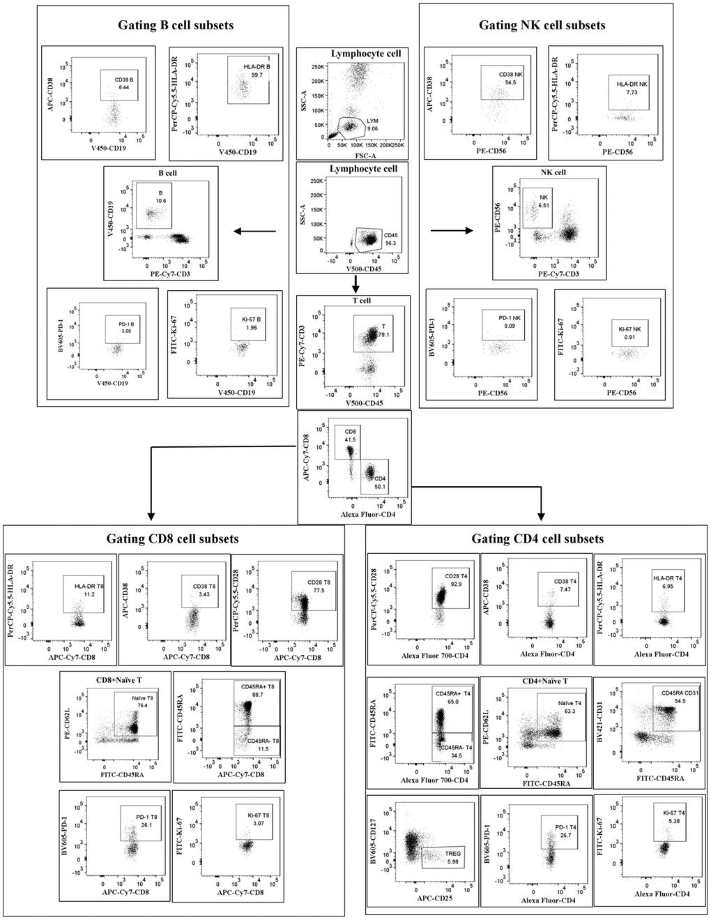 Gating strategy. Cells were first gated for lymphocytes (SSC-A vs. CD45), then CD3+ T cells, CD4+ T cells, CD8+ T cells, CD56+ NK cells and CD19+ B cells were positively determined. Next, the subtle subsets underlying each type of cell were further identified and differentiated.