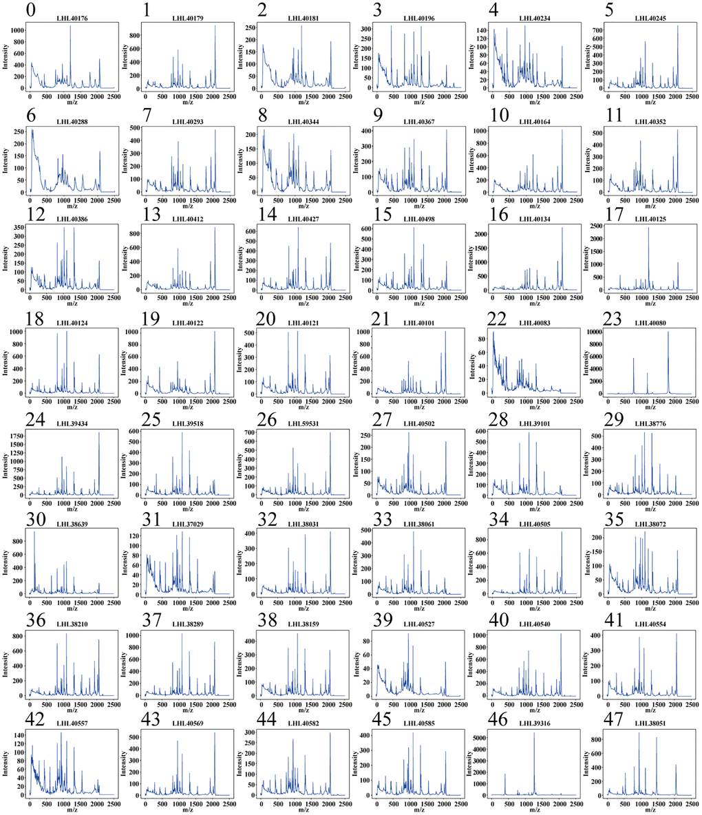 Typical MALDI-TOF MS patterns for 48 Escherichia coli strains.