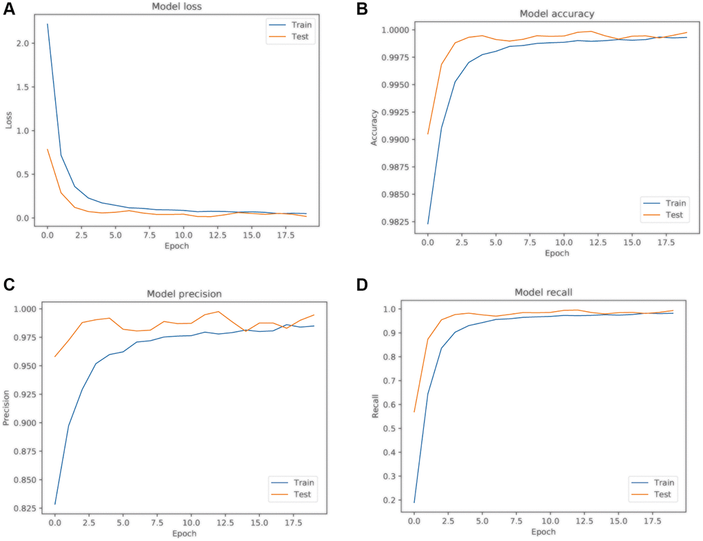 LSTM model training results. (A) Model loss curve; (B) Model accuracy curve; (C) Model precision curve; (D) Model recall curve. Blue represents the training sample curve, and yellow represents the test sample curve.