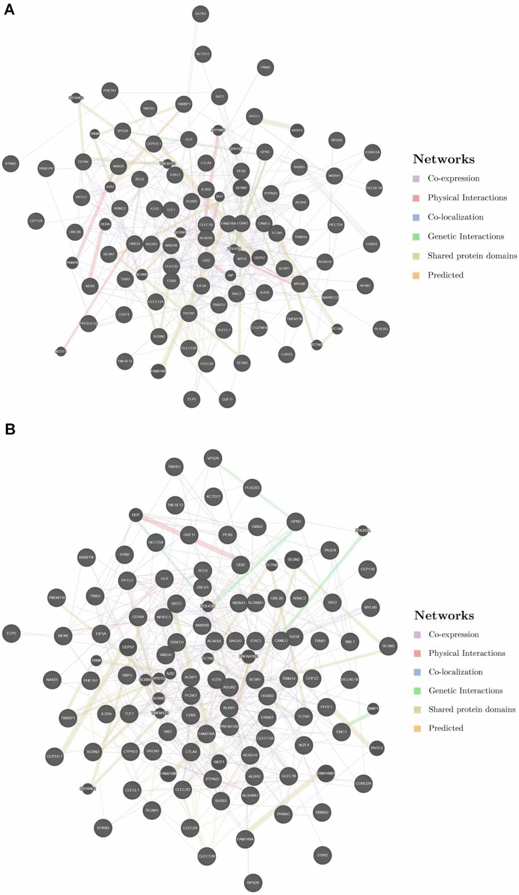 (A) PPI network among key genes 1. (B) PPI network among key genes 2.