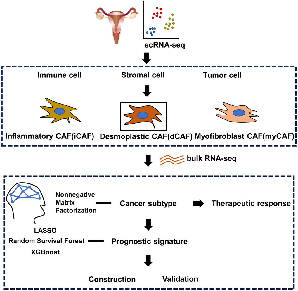 Workflow of the study.