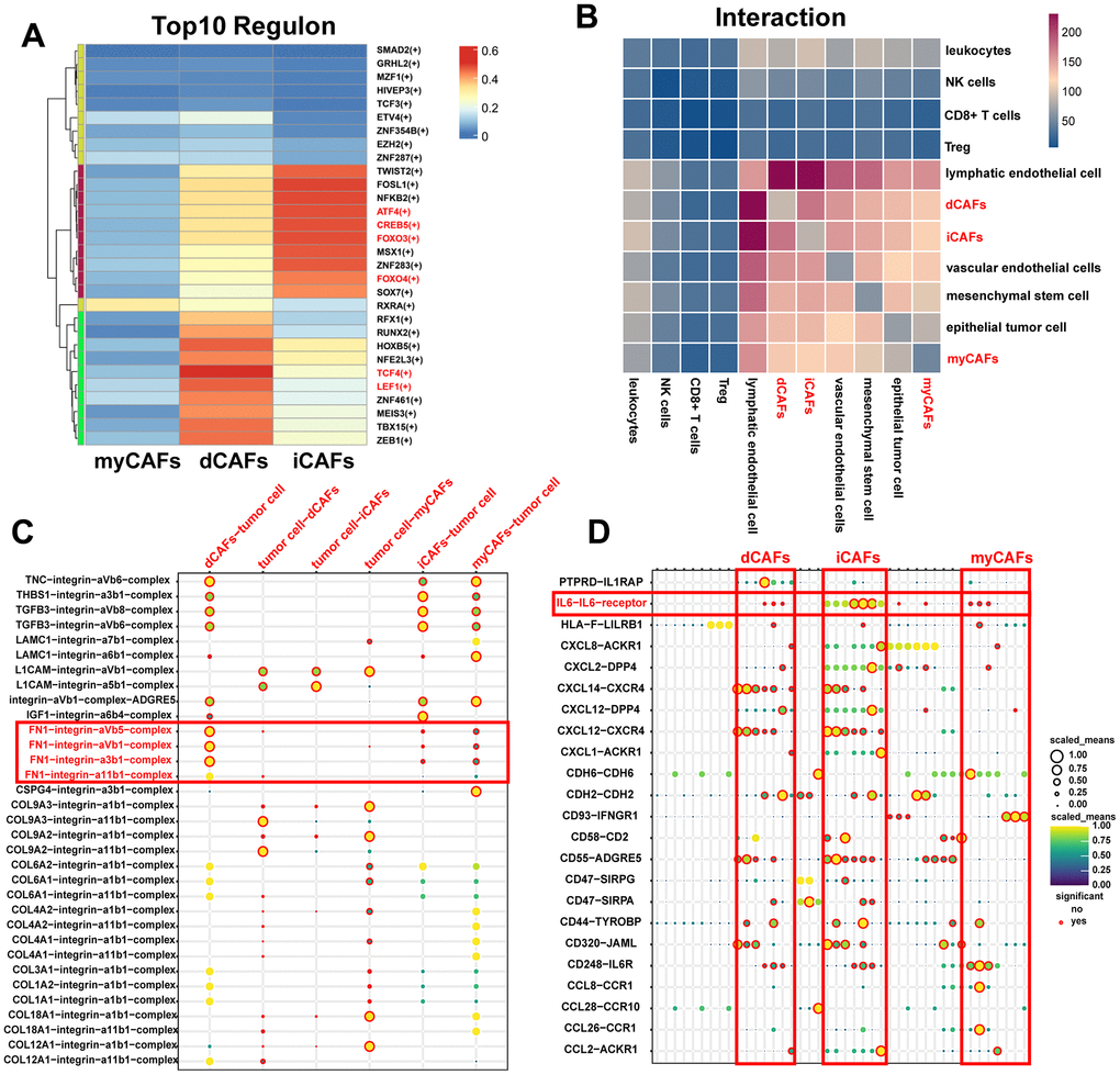 TFs and cell-cell communication of CAF subgroups. (A) Heatmap of the top ten TF regulons in CAF subgroups ranked by RSS scores, with color representing relative RSS values. (B) Heatmap showing cell types with significant correlations. The color represents the number of receptor-ligand pairs between cells. (C) ECM-related receptor-ligand pairs between CAF subpopulations and tumor cells with P D) Immune-related receptor-ligand pairs between CAF subpopulations and other cell types with P 