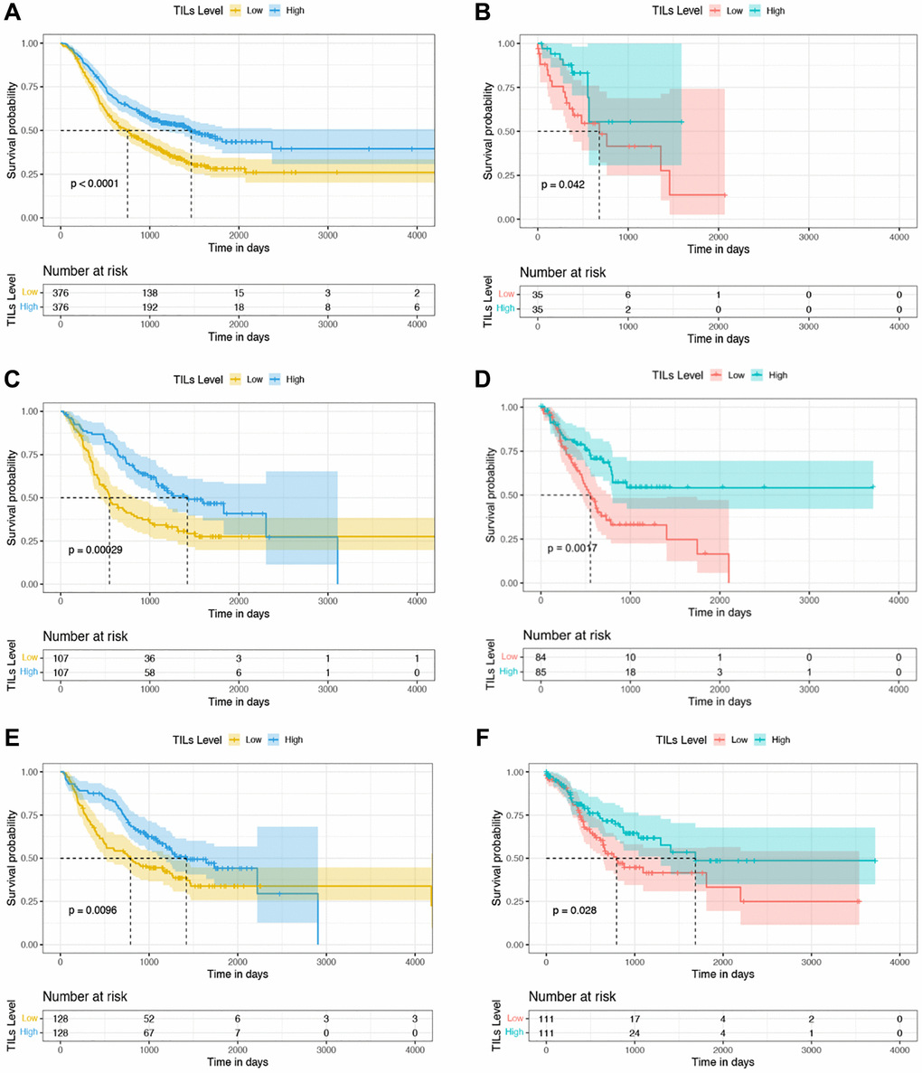 Kaplan-Meier curves of OS based on TILs proportion in the discovery and validation datasets. (A, C, E) Survival analysis between the high- and low-TILs groups in 752 ESCC, 214 AEGJ, and 256 GAC cases in Taixing, China, 2010–2014. (B, D, F) Survival analysis between the high- and low-TILs groups in 70 ESCC, 169 AEGJ, and 222 GAC cases of the TCGA dataset.