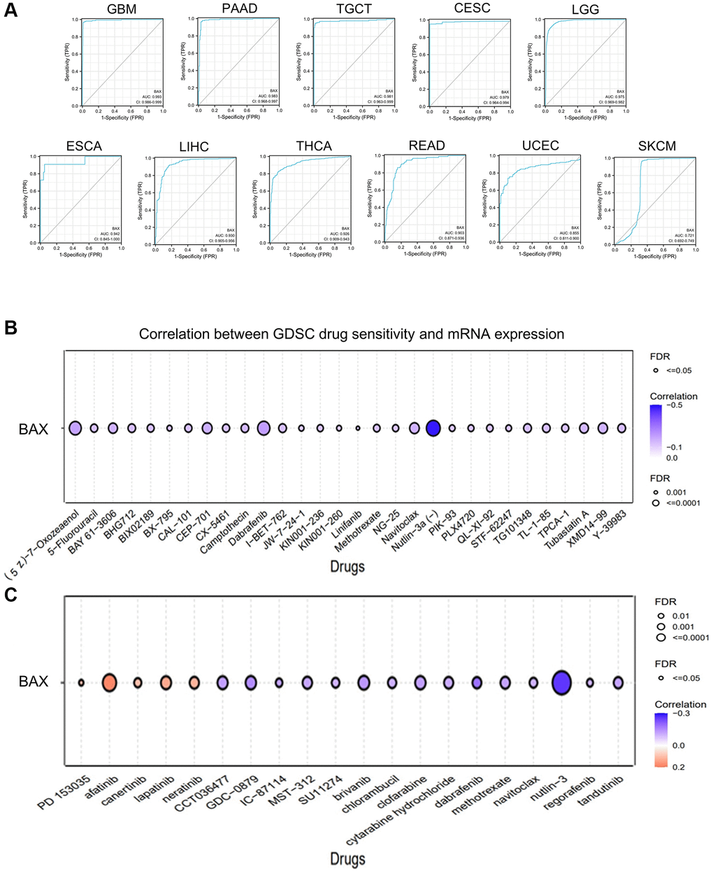 The correlation between BAX expression and clinical relevance. (A) The ROC curves of BAX in different cancers. (B) The correlation between BAX mRNA expression and GDSC drug sensitivity was performed. (C) The correlation between BAX mRNA expression and CTRP drug sensitivity was performed.